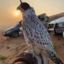 11Hussin profile picture