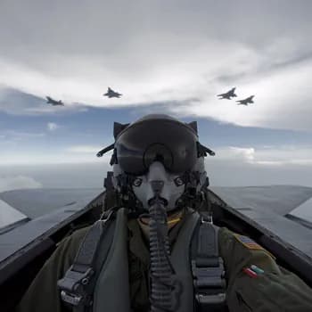 1Saadx's Kick streamer profile picture