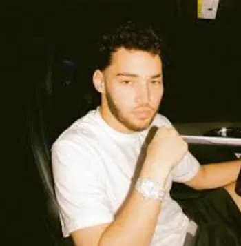 24ANISK's Kick streamer profile picture