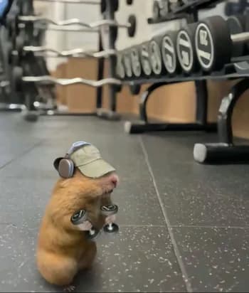 4adell's Kick streamer profile picture