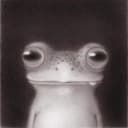 4hBunger profile picture