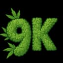 9Kemo profile picture