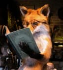 akashrouq profile picture