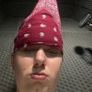 Ali5cali's Kick streamer profile picture