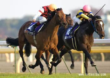 Alkaased2005's Kick streamer profile picture