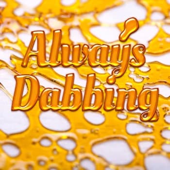 alwaysdabbing's Kick streamer profile picture