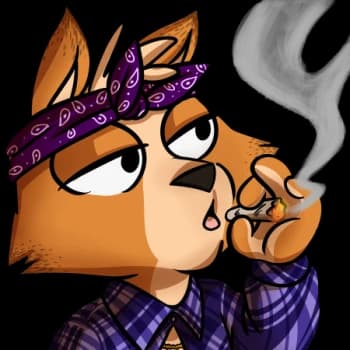 ArdillaLoca24's Kick streamer profile picture