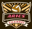AriesChannel profile picture