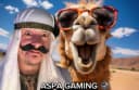 AspaGaming profile picture