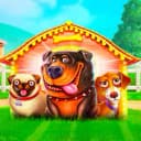 AzartKorezh profile picture