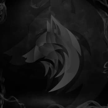 B4hm's Kick streamer profile picture