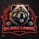 BALR0GG profile picture