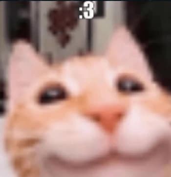 basedLore's Kick streamer profile picture