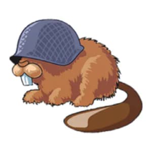 BeBRA_DRO's Kick streamer profile picture