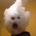 BekirxL profile picture