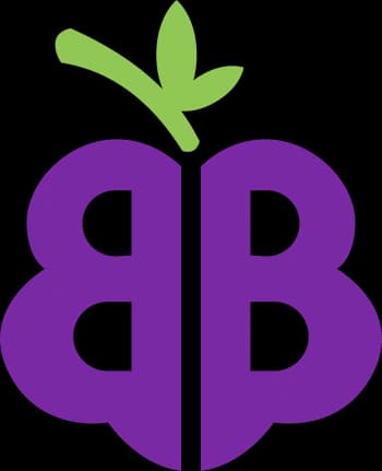 BerryyBoo's Kick streamer profile picture