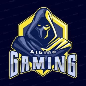 BinoSnipess's Kick streamer profile picture