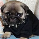 birkanxdd profile picture