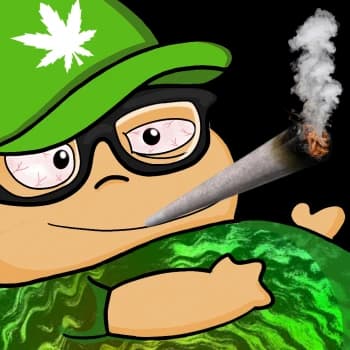 Biscoso's Kick streamer profile picture