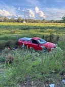 Bloodstreamworks profile picture