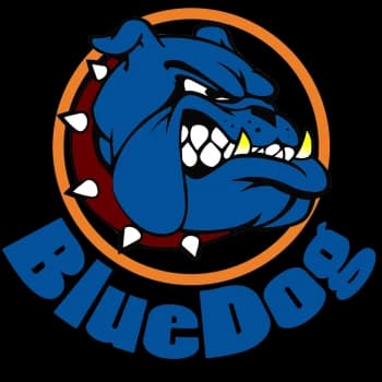 BlueDogStephens's Kick streamer profile picture