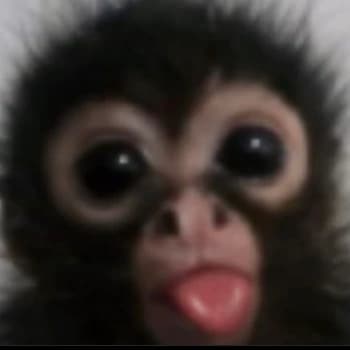 bo3oo's Kick streamer profile picture