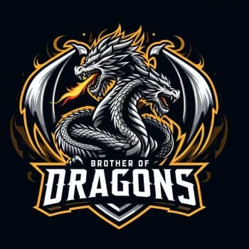 BrotherOfDragons's Kick streamer profile picture