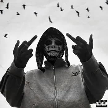 brynzxc's Kick streamer profile picture