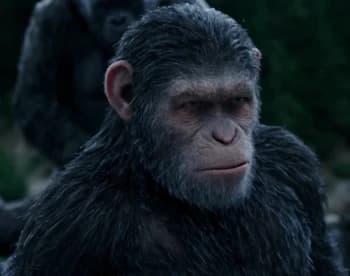 Bundie's Kick streamer profile picture