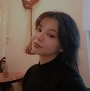 Busefts's Kick streamer profile picture