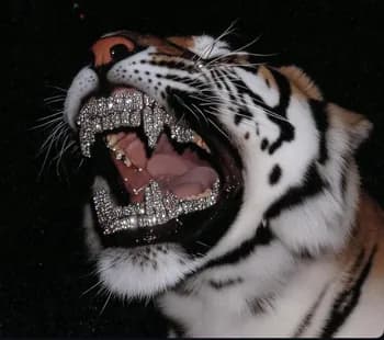 Bymatiusky's Kick streamer profile picture