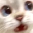 Camperzz1 profile picture