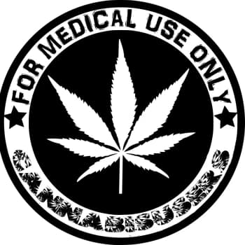 cannabisusers's Kick streamer profile picture