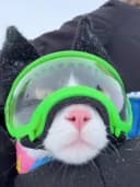 cariwp profile picture