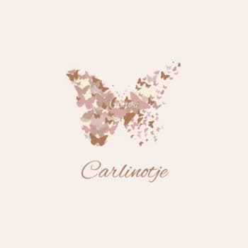 carlinotje's Kick streamer profile picture