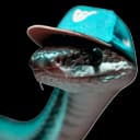 casino_tolerator profile picture