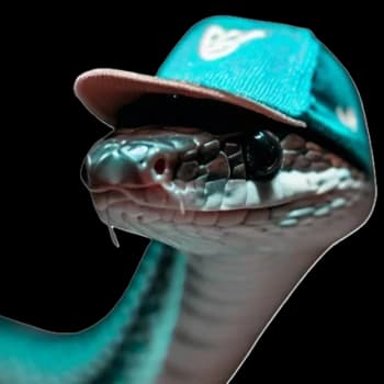 casino_tolerator's Kick streamer profile picture