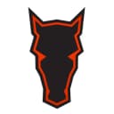 chessbrah profile picture