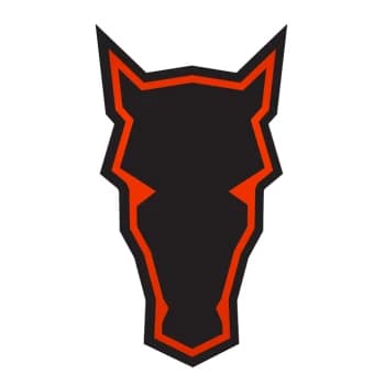 chessbrah's Kick streamer profile picture