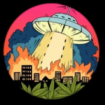 chilling_og's Kick streamer profile picture