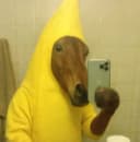 chinocity profile picture