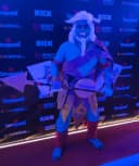 Chistologo profile picture