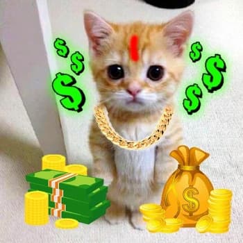 ChocoChan69's Kick streamer profile picture