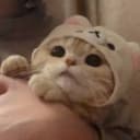 chrisfv1 profile picture