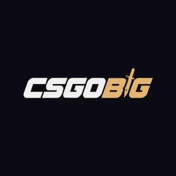 CSGOBig's Kick streamer profile picture