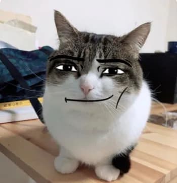 damianwastaken's Kick streamer profile picture