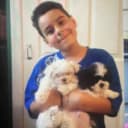 DaoJuicee profile picture