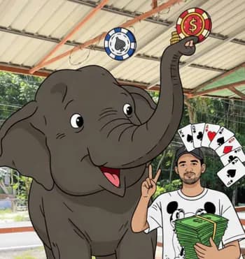 David777RRK's Kick streamer profile picture