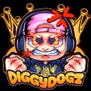 diggydogz profile picture