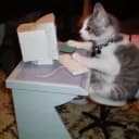 dikemos profile picture